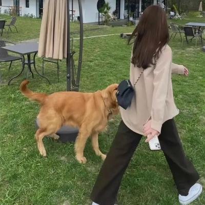侨女日记